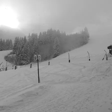 La Belle, Skis Aux Pieds! * ואלמורל