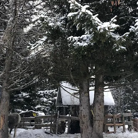 דירה La Belle, Skis Aux Pieds!