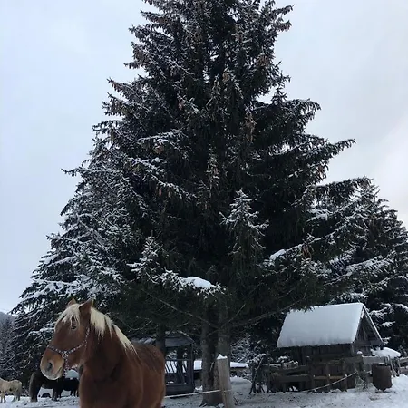 La Belle, Skis Aux Pieds! דירה
