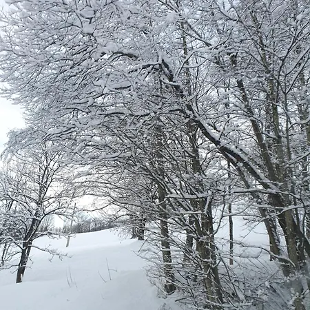 La Belle, Skis Aux Pieds! Valmorel