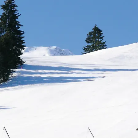 La Belle, Skis Aux Pieds! * Valmorel